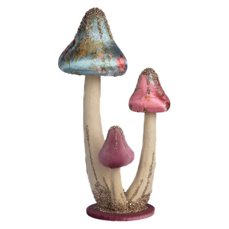 Funghi Alice in Candyland