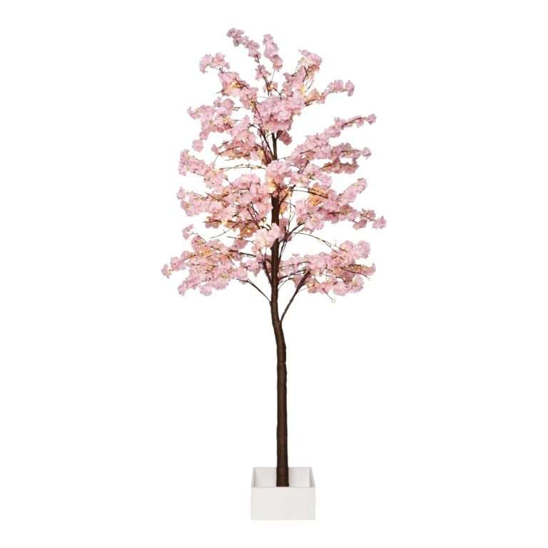 Albero di Ciliegio Rosa