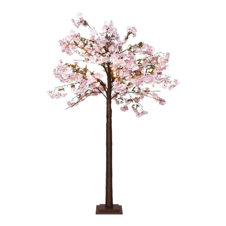 Albero di Ciliegio Rosa