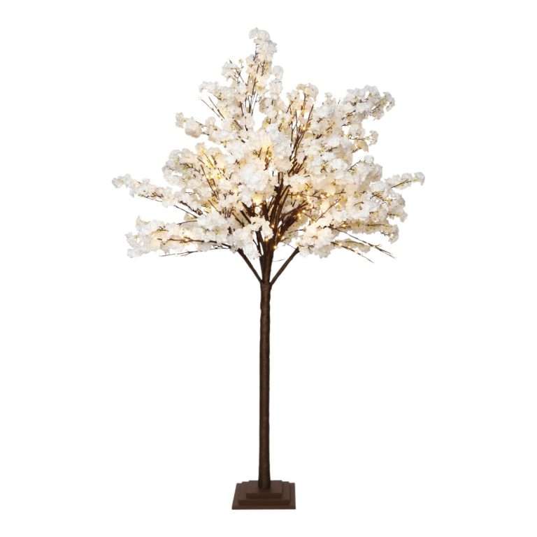 Albero di Ciliegio Bianco